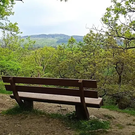 别墅 Grosszuegiges Architektenhaus In 陶努斯山区克龙贝格