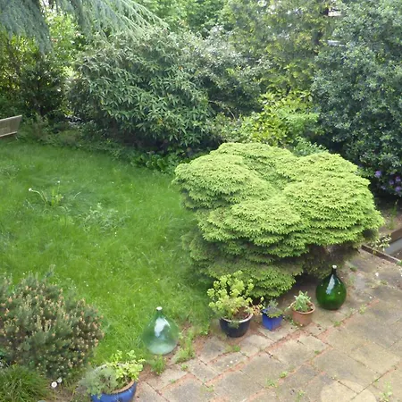 别墅 Grosszuegiges Architektenhaus In *