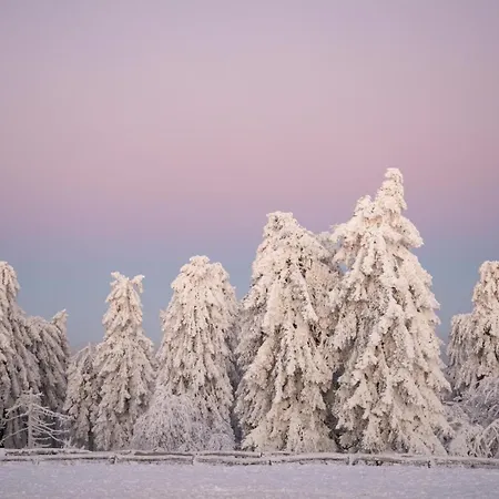 Grosszuegiges Architektenhaus In * 陶努斯山区克龙贝格
