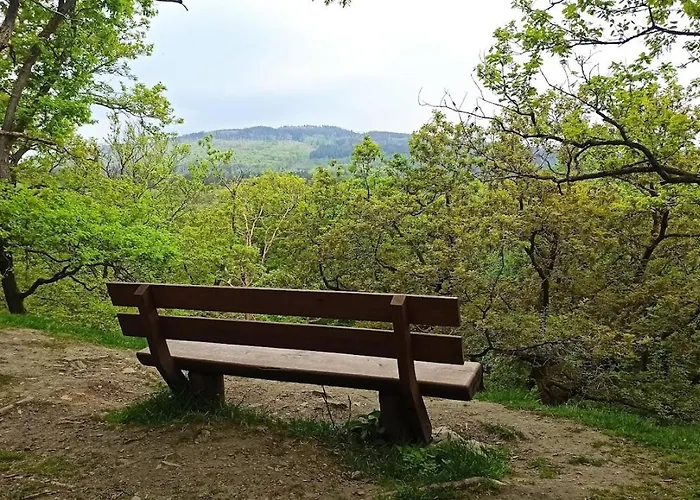 Villa Großzügiges Architektenhaus In Kronberg im Taunus