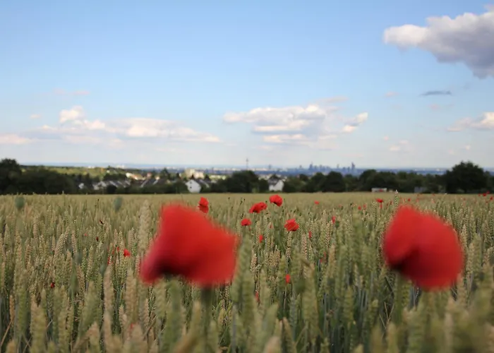 Großzügiges Architektenhaus In
