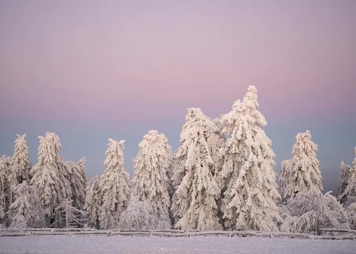 Großzügiges Architektenhaus In * Kronberg im Taunus